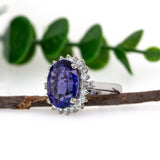 Aria 14K White Gold Tanzanite Diamond Ring | Oval 13x10mm