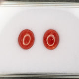 Natural Italian Coral Cabochon Cut 10x8mm 2.18ct Loose Gemstone