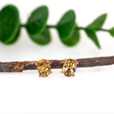 14K Gold Cambodian Champagne Zircon Studs | Oval 7x5mm
