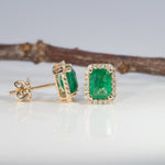 14K yellow gold zambian emerald earrings