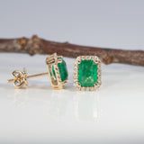14K yellow gold zambian emerald earrings