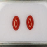 Natural Italian Coral Cabochon Cut 12x6mm 1.46ct Loose Gemstone