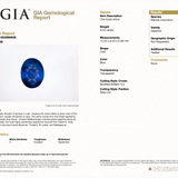 GIA Certified Ceylon Blue Sapphire – 6.03ct Natural Oval Cut Investment Grade  Loose Gemstone, Premium Sri Lankan Sapphire 12x9.2mm