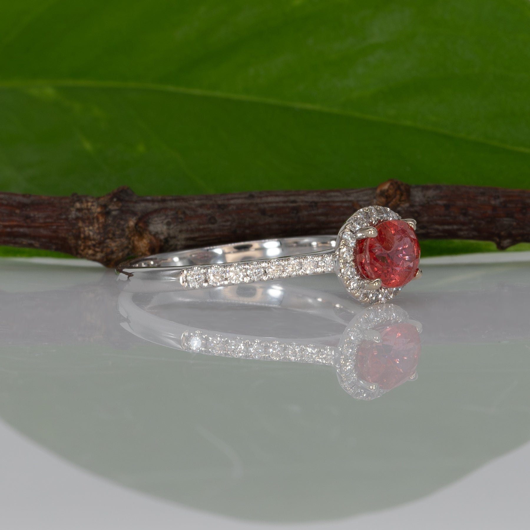 14K white gold padparadscha sapphire oval ring with diamond halo