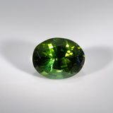 Natural Green Tourmaline 15.93ct Oval 18x14.2mm – Untreated Loose Gemstone for Ring, Pendant & Jewelry Making – One Stone