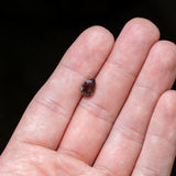 1.95 carat natural color-change alexandrite pear, 9.41x6.42mm untreated loose gemstone – view 2