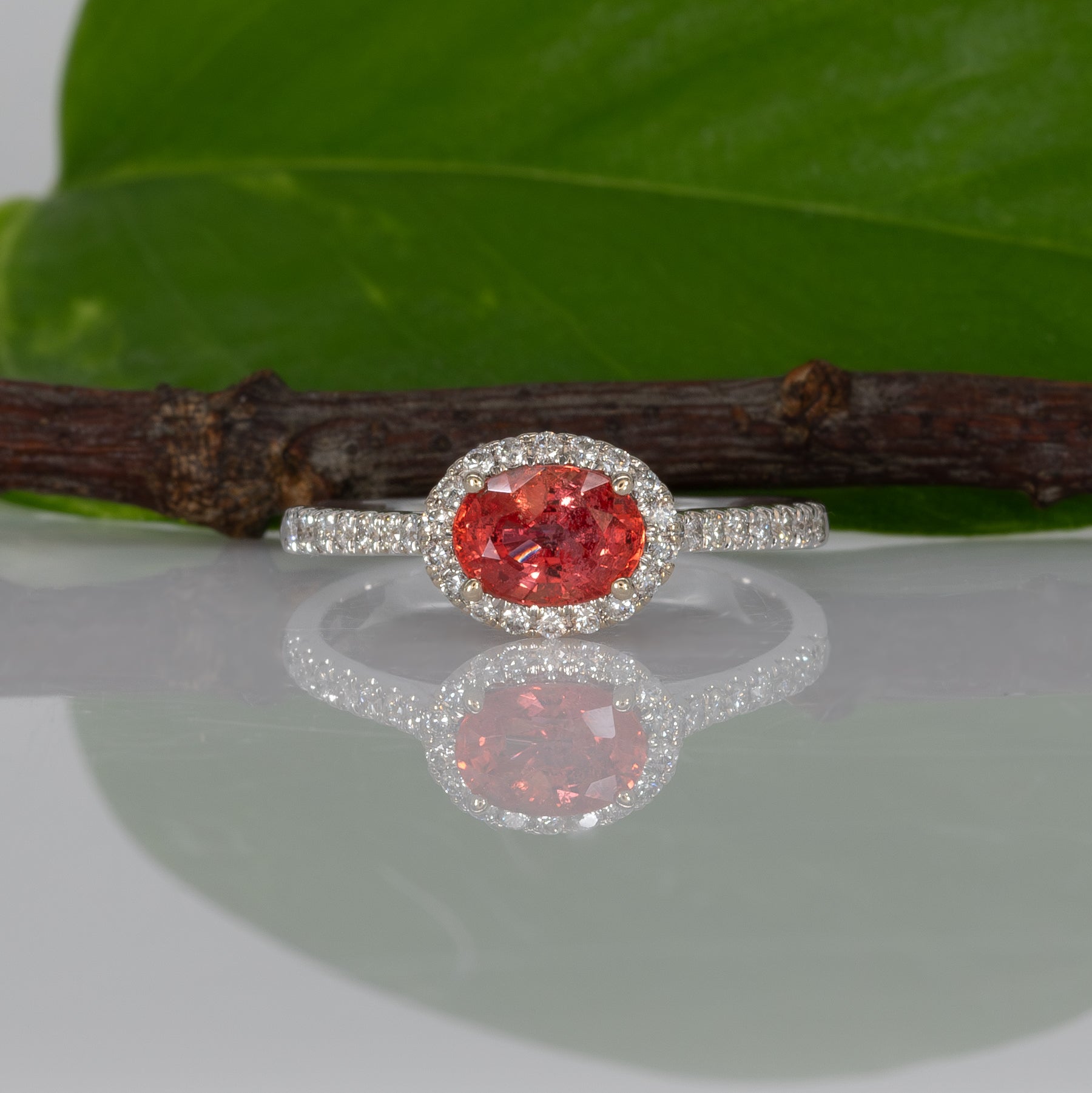 14K white gold padparadscha sapphire oval ring with diamond halo
