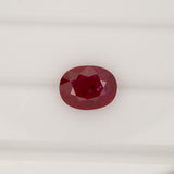 GIA Certified Mozambique Ruby 1.65cts – Investment-Grade Natural Oval Ruby 9.03x6.89mm Loose Gemstone