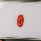Natural Italian Coral Cabochon Cut 12x6mm 1.46ct Loose Gemstone