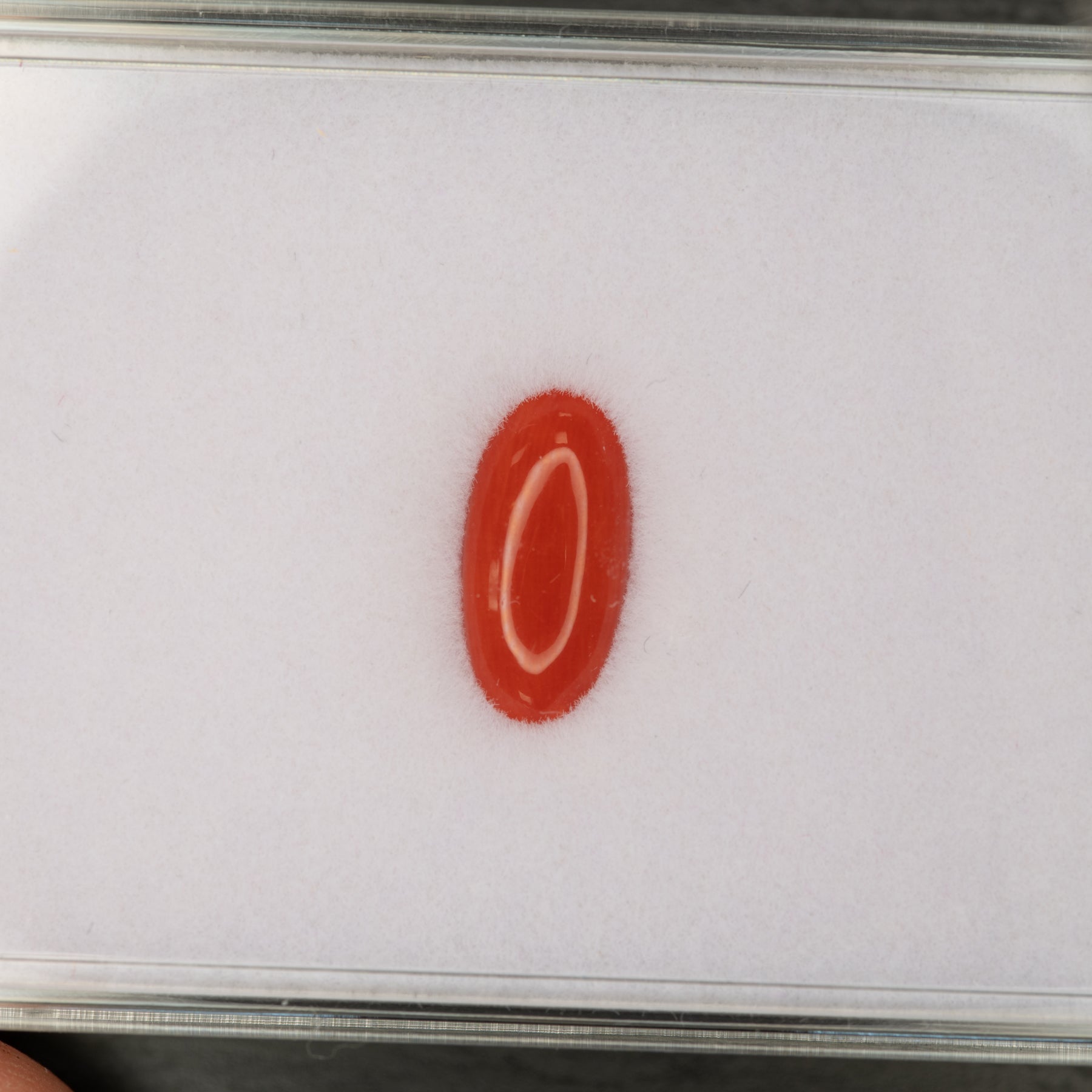 Natural Italian Coral Cabochon Cut 12x6mm 1.46ct Loose Gemstone