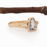 Keira Solid 14k Gold Blue Sapphire Ring with Natural Diamond Accents,8x6.5mm