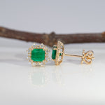 14K yellow gold colombian emerald earrings