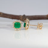 14K yellow gold colombian emerald earrings