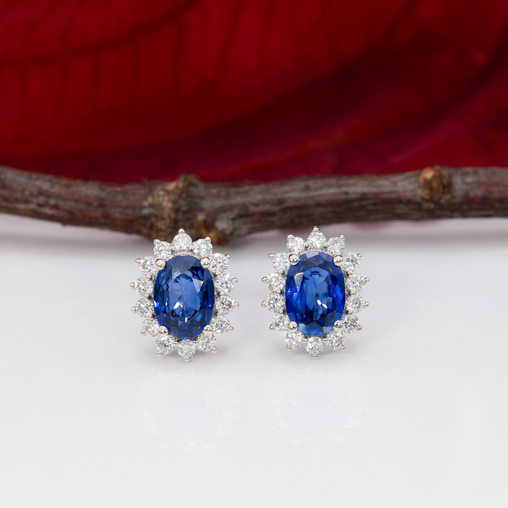 14K white gold ceylon blue sapphire earrings