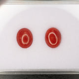 Natural Italian Coral Cabochon Cut 10x8mm 2.18ct Loose Gemstone