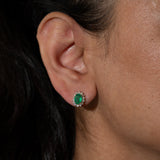 14K yellow gold zambian emerald earrings