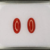 Natural Italian Coral Cabochon Cut 12x6mm 1.46ct Loose Gemstone