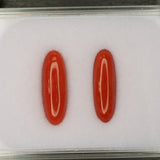 Natural Italian Coral Cabochon Cut 18.5x6.3mm 3.31ct Loose Gemstone