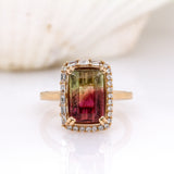 Josie 14K Yellow Gold Bi-Color Tourmaline and Diamond Halo Ring | Emerald Cut 12x8mm