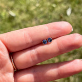 Four Prong Round Tanzanite Solitaire Stud Earrings