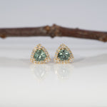 14K yellow gold montana sapphire earrings