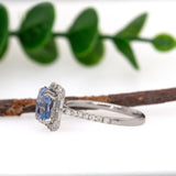 Kiara 14K White Gold Ceylon Cornflower Blue Sapphire and Diamond Ring