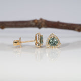 14K yellow gold montana sapphire earrings