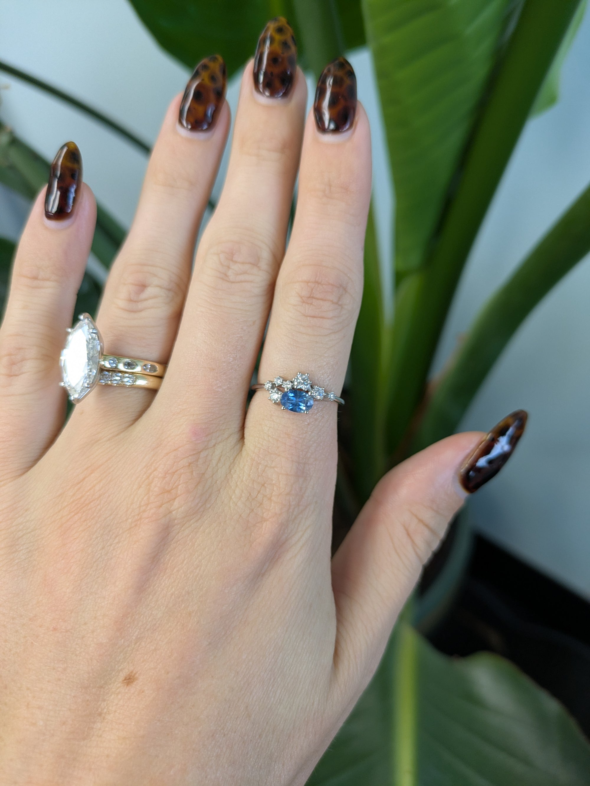 14K white gold montana sapphire ring