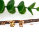 14K Gold Cambodian Champagne Zircon Studs | Oval 7x5mm