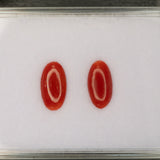 Natural Italian Coral Cabochon Cut 12x6mm 1.46ct Loose Gemstone
