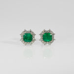 14K white gold colombian emerald earrings