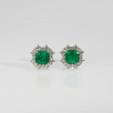 14K white gold colombian emerald earrings