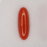 Natural Italian Coral Cabochon Cut 18.5x6.3mm 3.31ct Loose Gemstone