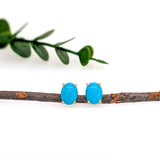 8x6mm Oval - 14K Solid Gold Sleeping Beauty Turquoise Solitaire Studs