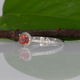 14K white gold padparadscha sapphire oval ring with diamond halo