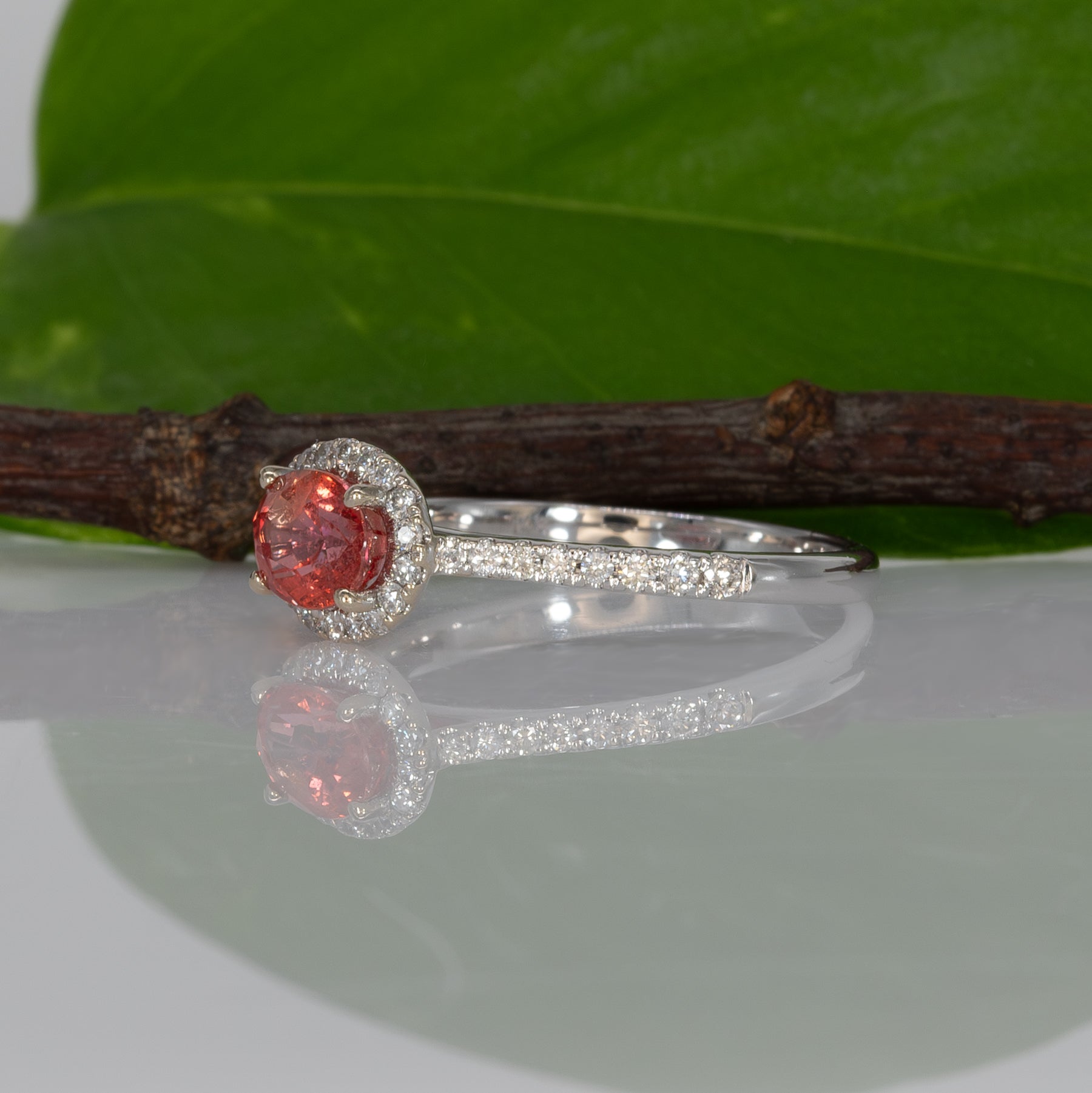 14K white gold padparadscha sapphire oval ring with diamond halo