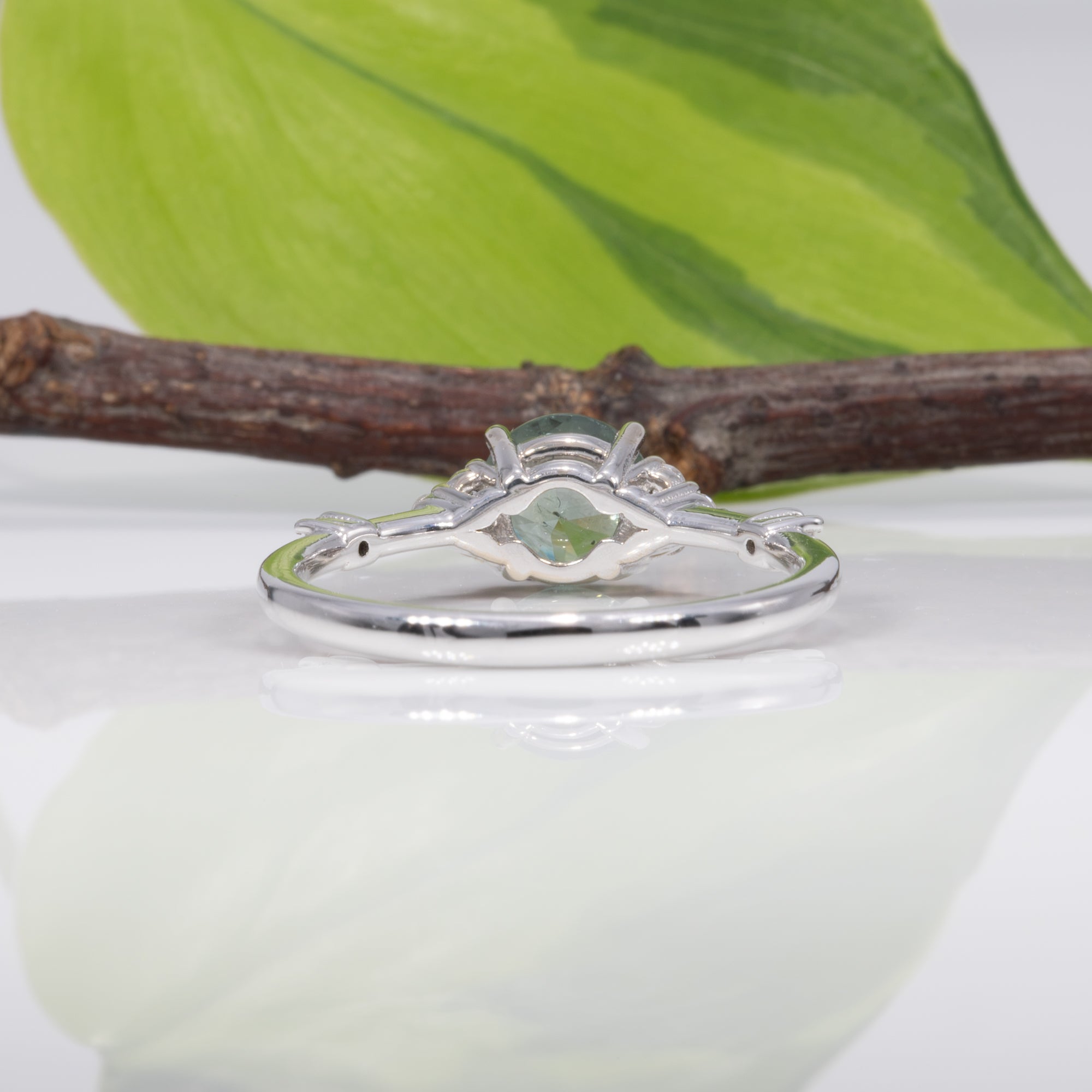 14K white gold montana sapphire ring