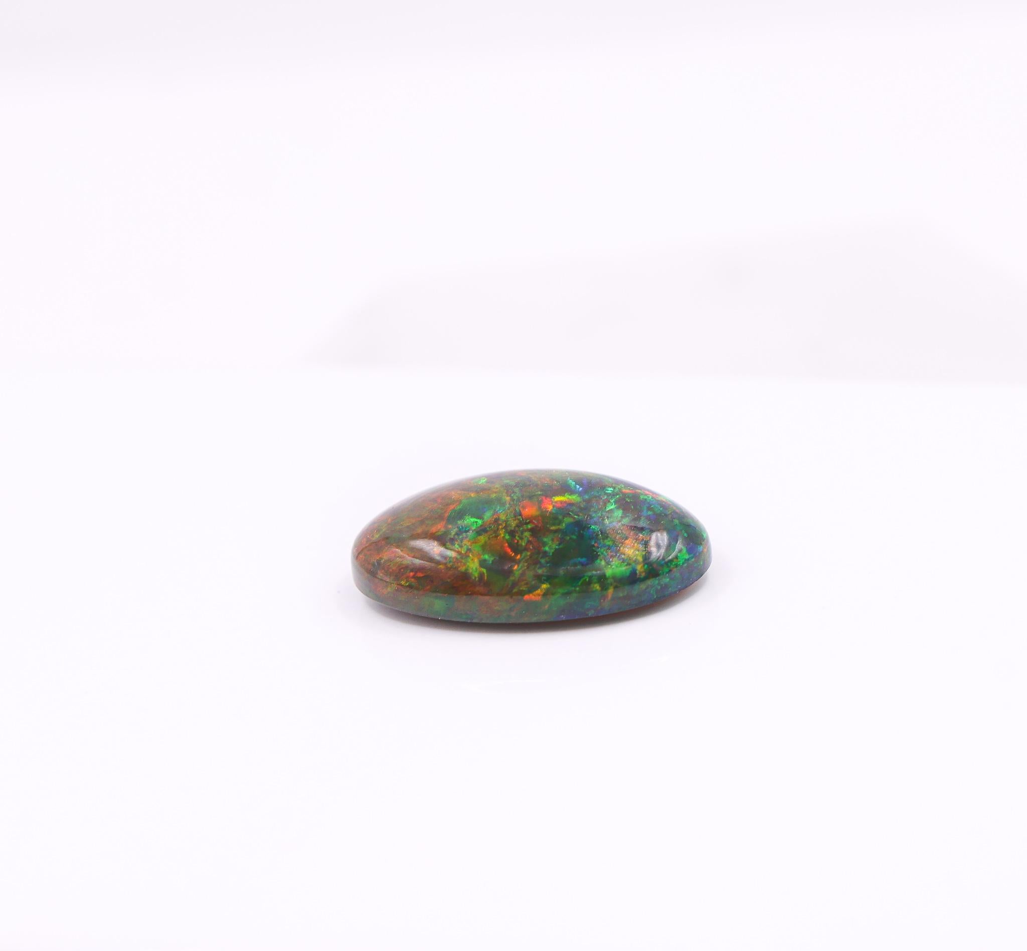 10.73 Carat Black Opal Gemstone | Oval 23x13mm | Loose Gemstone