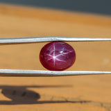 6.95 Carat Star Ruby Gemstone | Oval 11.5 x 9.4 mm | Loose Gemstone