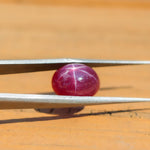 6.95 Carat Star Ruby Gemstone | Oval 11.5 x 9.4 mm | Loose Gemstone