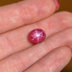 6.95 Carat Star Ruby Gemstone | Oval 11.5 x 9.4 mm | Loose Gemstone