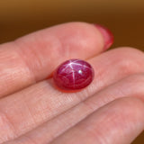 6.95 Carat Star Ruby Gemstone | Oval 11.5 x 9.4 mm | Loose Gemstone