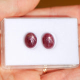 6.91 Carat Star Ruby Gemstone | Oval 11.7 x 9.3 mm | Loose Gemstone