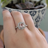 Sitara 14K White and Rose Gold Cor de Rosa Morganite Diamond Ring | Cushion Shape 6mm
