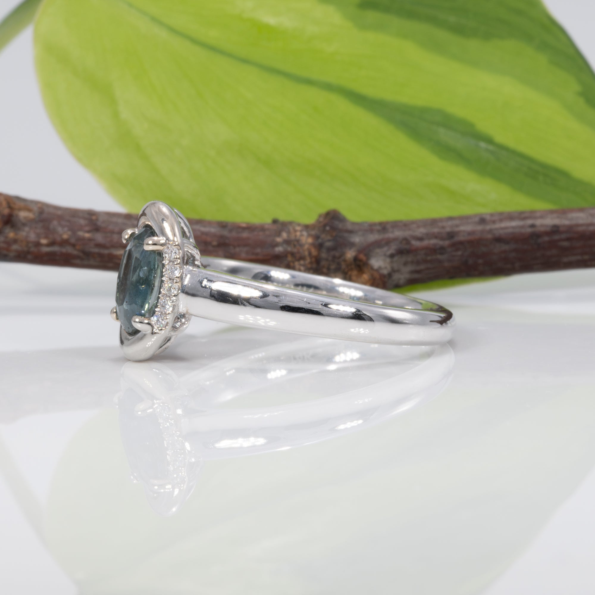 14K white gold montana sapphire ring