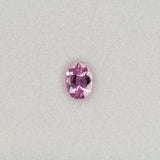 Natural Pink Sapphire Oval 7x5.1mm 0.91cts – Heat Treated Loose Gemstone for Custom Jewelry