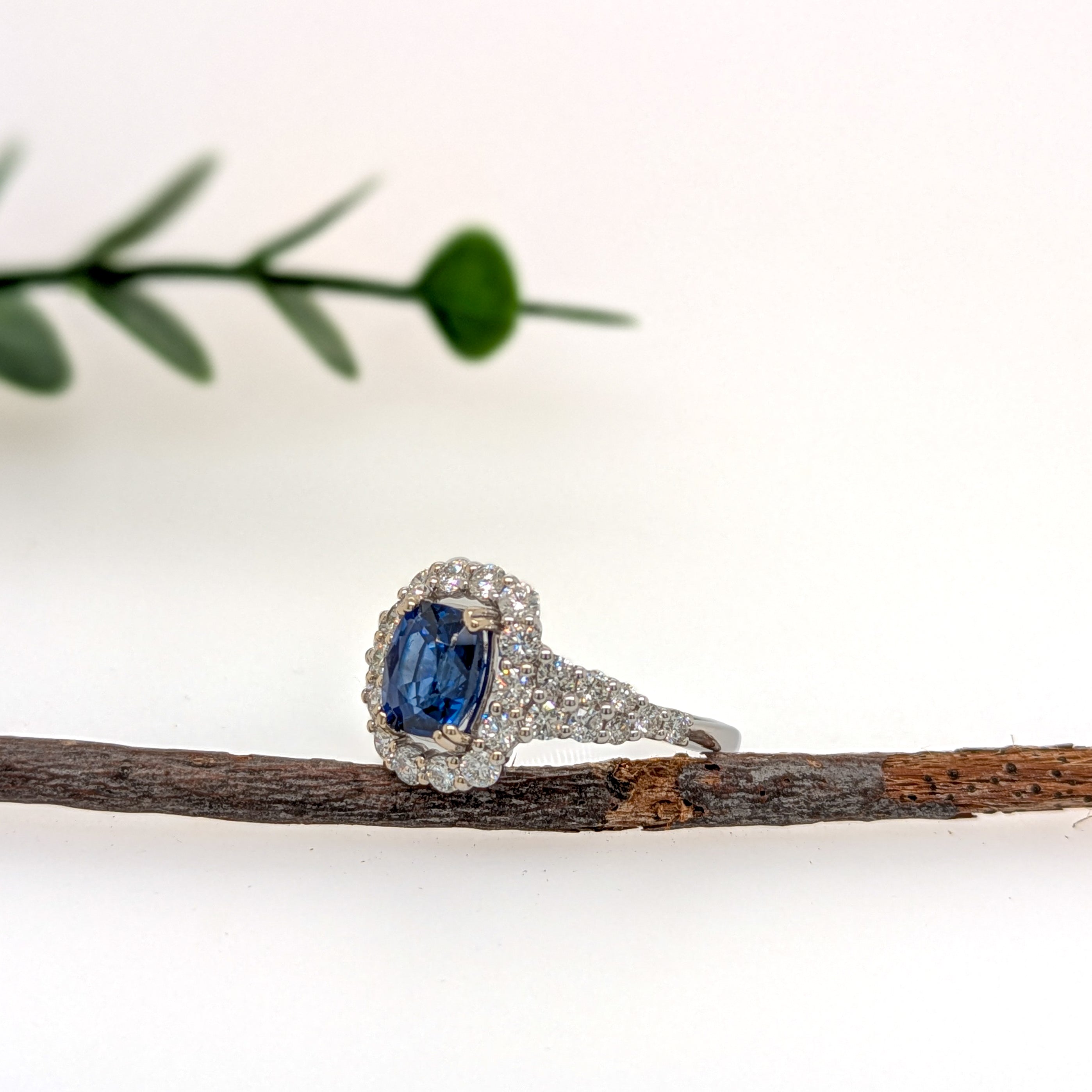 Hanshika 14K White Gold 2.18cts Ceylon Sapphire Diamond Ring | Cushion 8x6mm