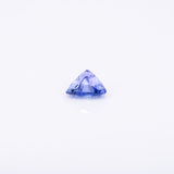 Natural Earth Mined Tanzanite Trillion 9mm 2.74cts – Heat Treated Loose Gemstone for a Custom Ring - One Stone