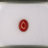 Natural Italian Coral Cabochon Cut 10x8mm 2.18ct Loose Gemstone