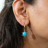 14K yellow gold sonoran turquoise earrings